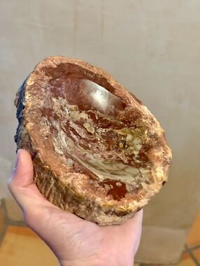 Petrified Wood Bowl | Natural Fossil Wood | Earth Tones | Polished Stone Decor